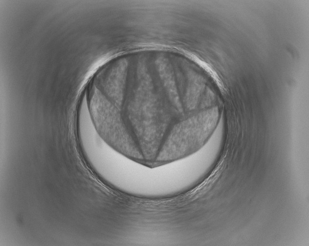 X0000115541365200912041002