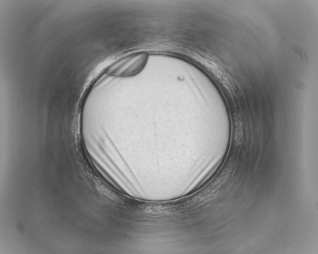 X0000115541366200912041002