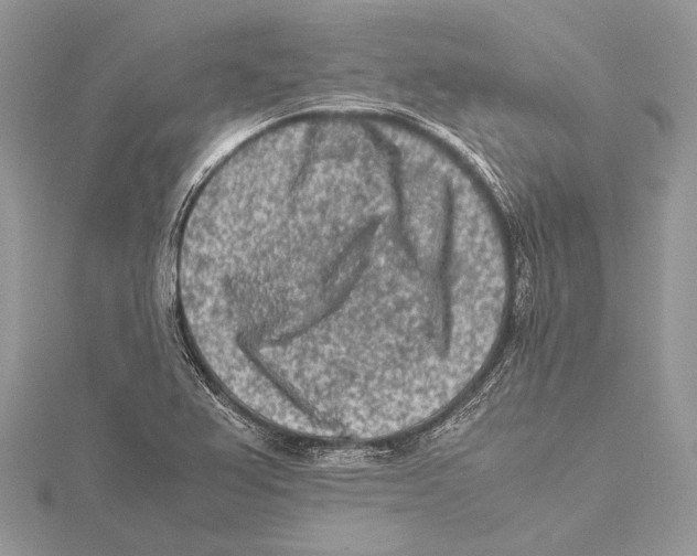 X0000115541367200912041002