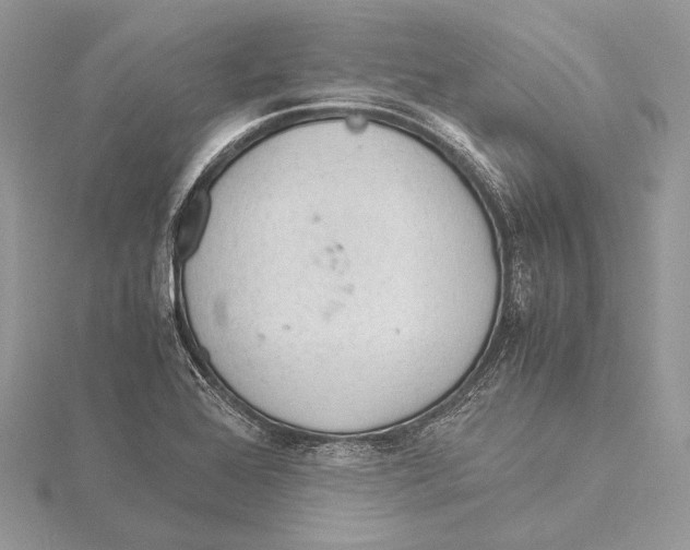 X0000115541368200912041002