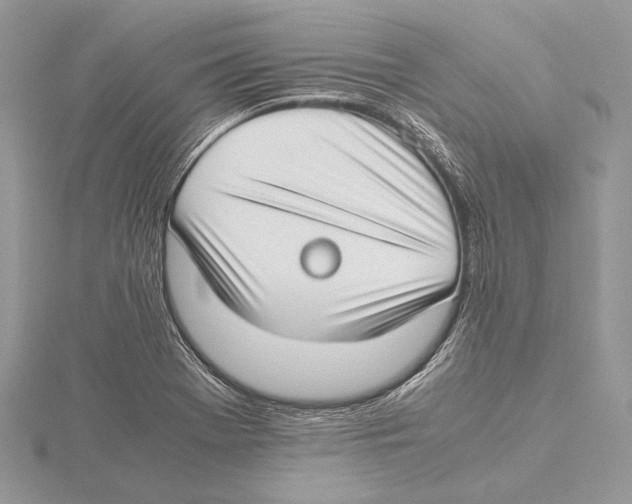 X0000115541369200912041002