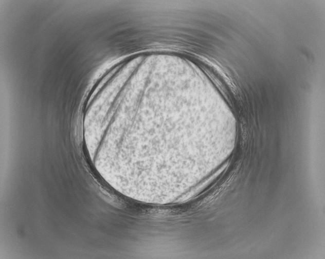 X0000115541371200912041002