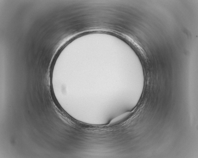 X0000115541372200912041002