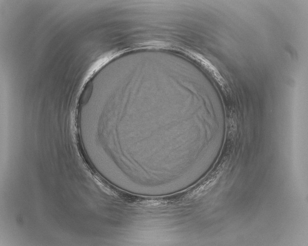 X0000115541373200912041002