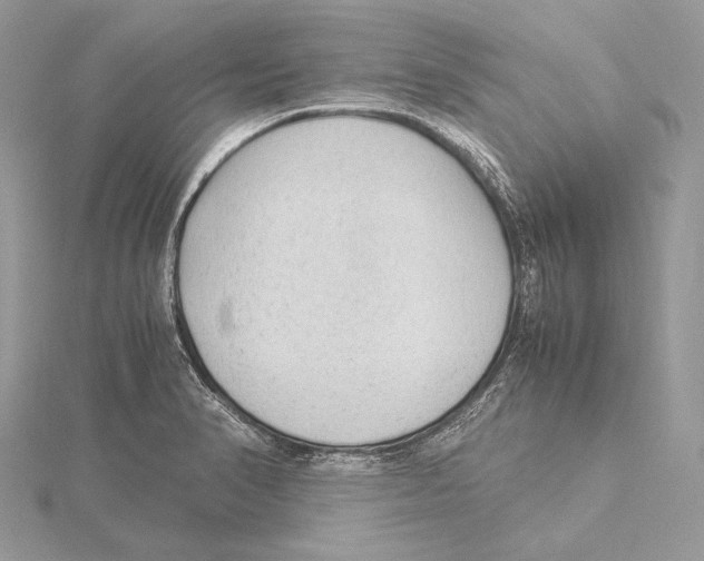 X0000115541374200912041002