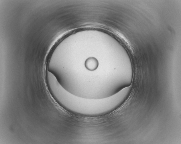 X0000115541376200912041002