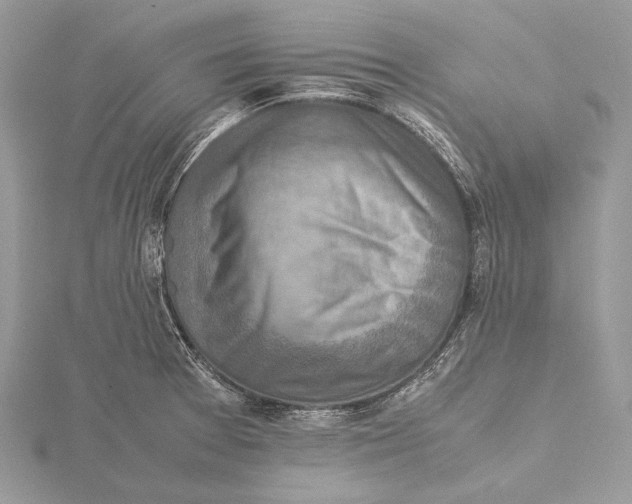 X0000115541377200912041001