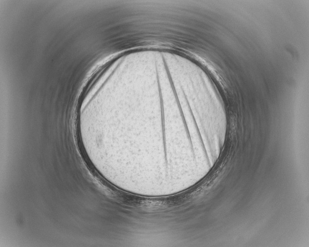 X0000115541379200912041001