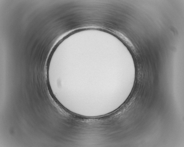 X0000115541380200912041001