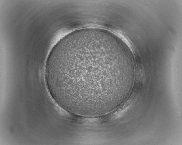 X0000115541381200912041001