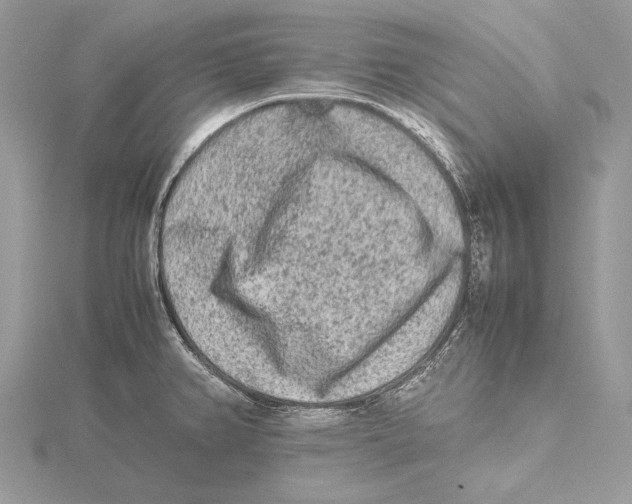 X0000115541382200912041001