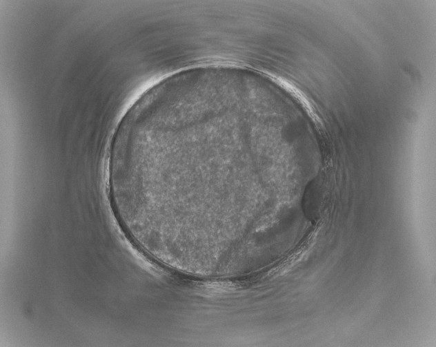 X0000115541383200912041001