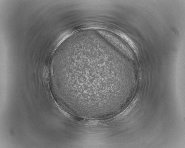 X0000115541385200912041001