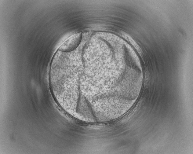 X0000115541386200912041001