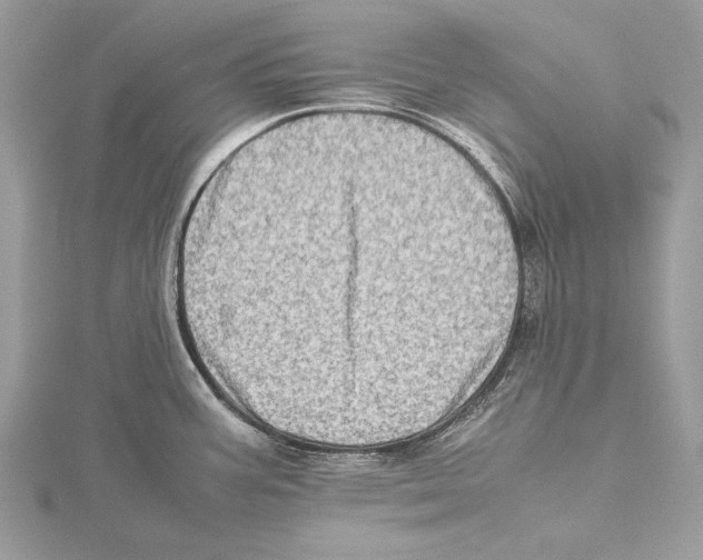 X0000115541387200912041001