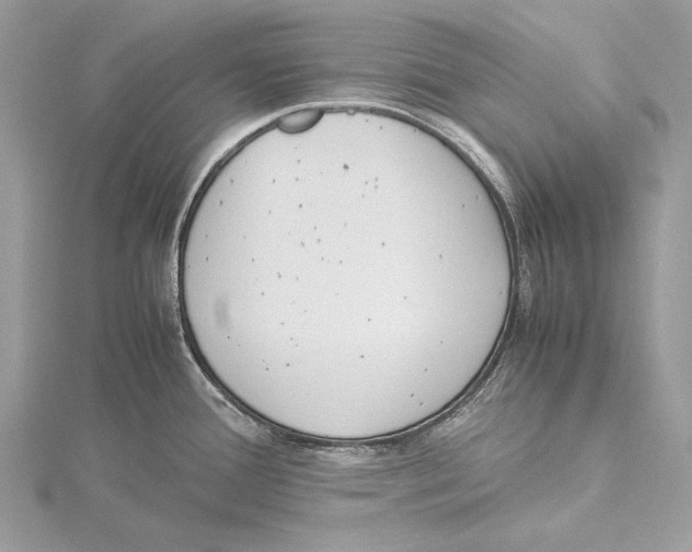 X0000115541388200912041001