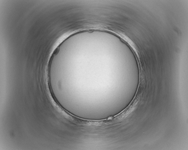 X0000115541389200912041001