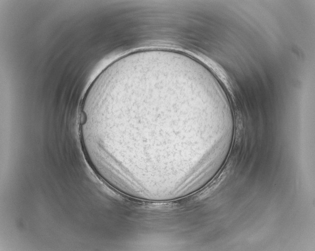 X0000115541390200912041001