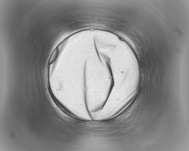 X0000115541391200912041001