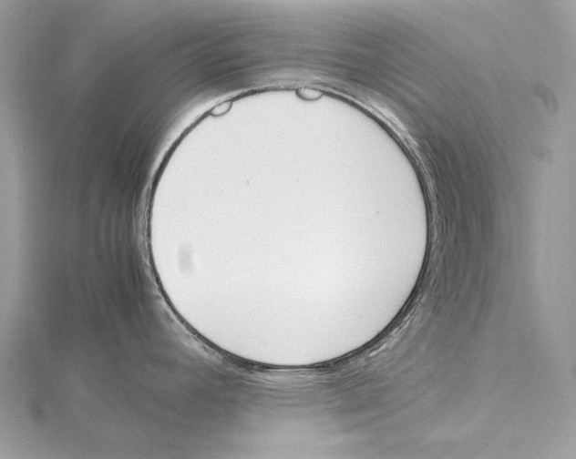 X0000115541392200912041001