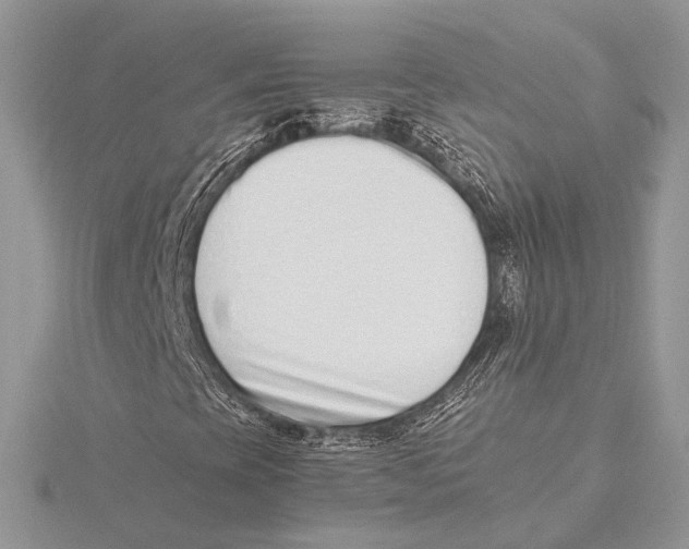 X0000115541393200912041001