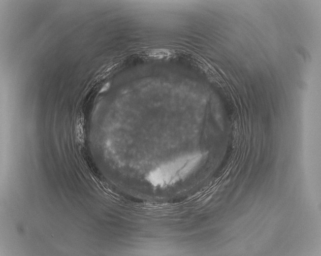 X0000115541394200912041001