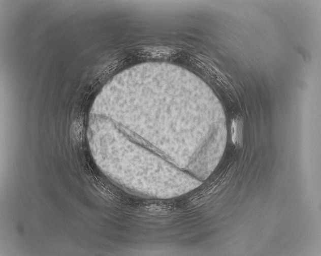 X0000115541395200912041001