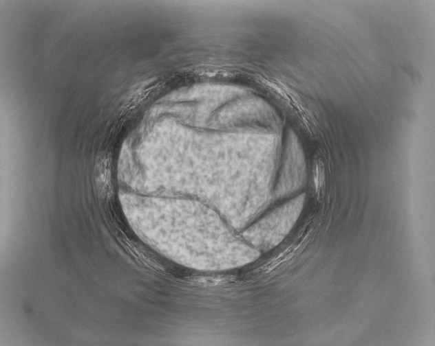 X0000115541396200912041001