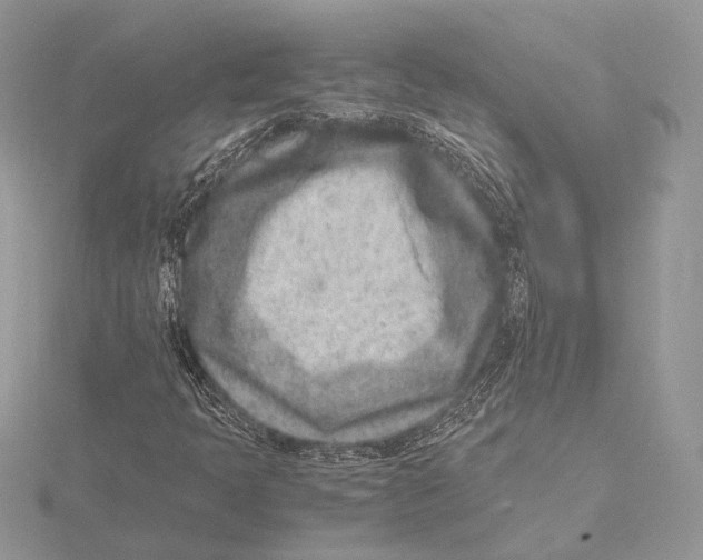 X0000115541397200912041001