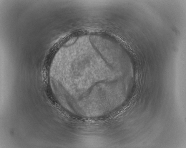 X0000115541398200912041001