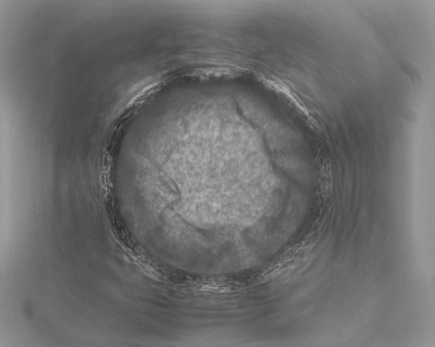 X0000115541399200912041001