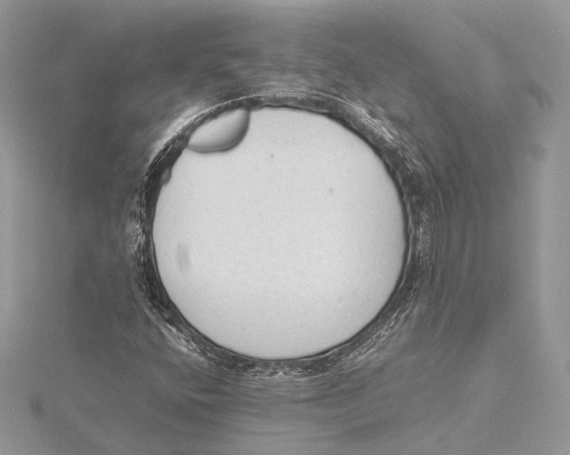 X0000115541400200912041001