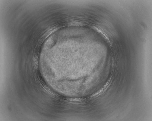 X0000115541401200912041001