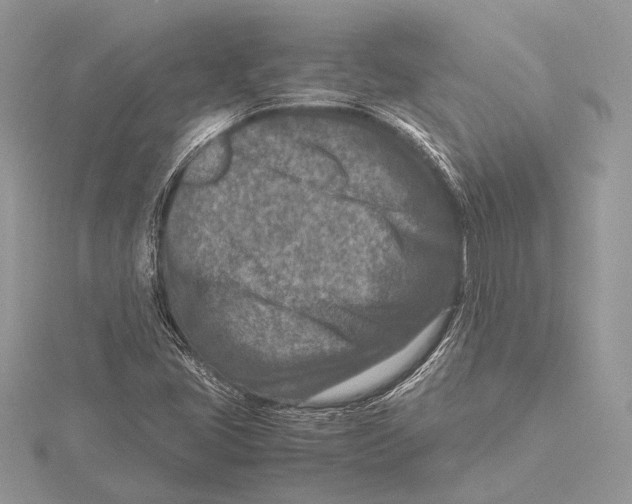 X0000115541405200912041001