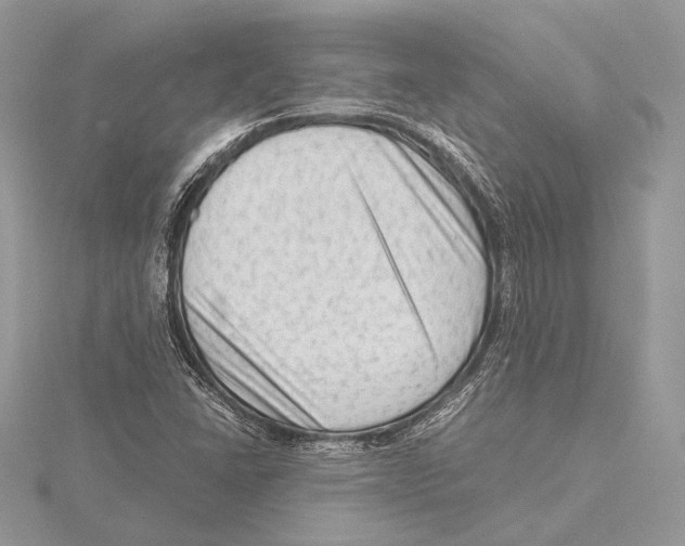 X0000115541406200912041001