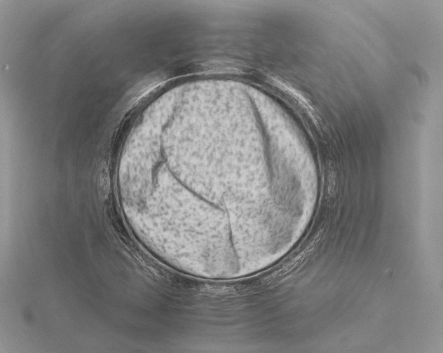 X0000115541407200912041001