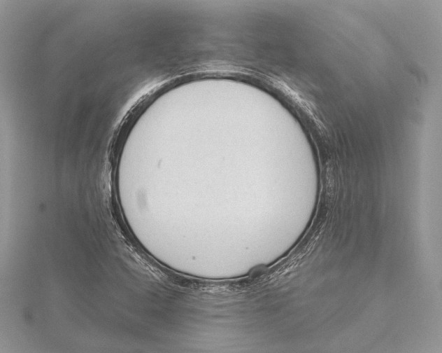 X0000115541408200912041001