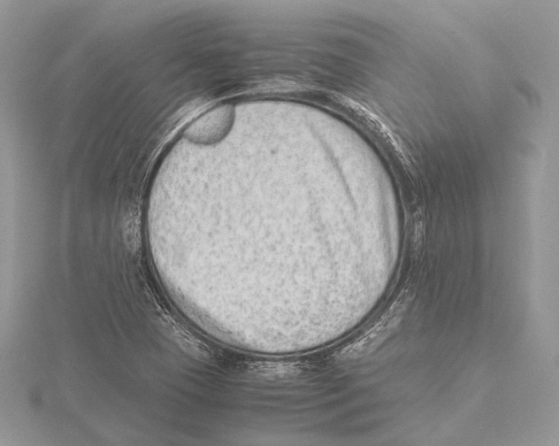 X0000115541409200912041001