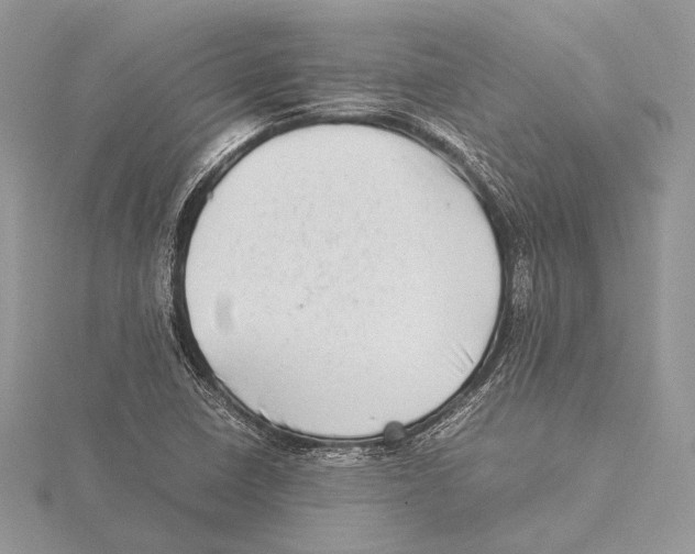 X0000115541410200912041001