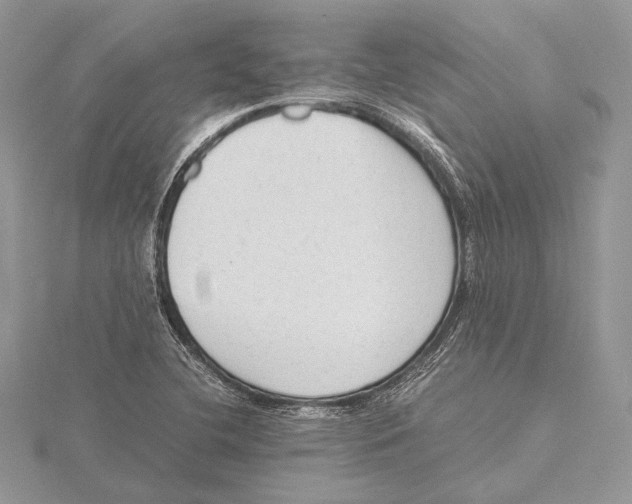 X0000115541412200912041001