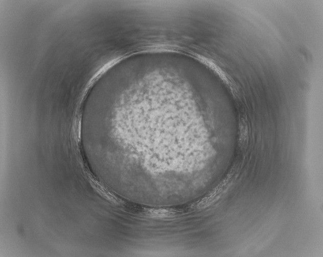 X0000115541413200912041001