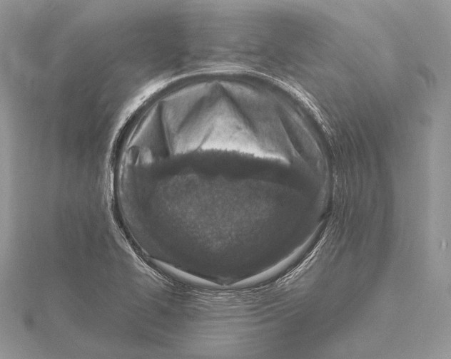 X0000115541414200912041001