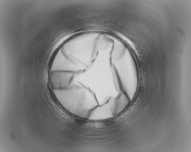 X0000115541415200912041001