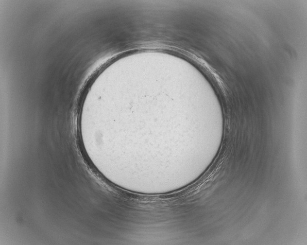 X0000115541416200912041001