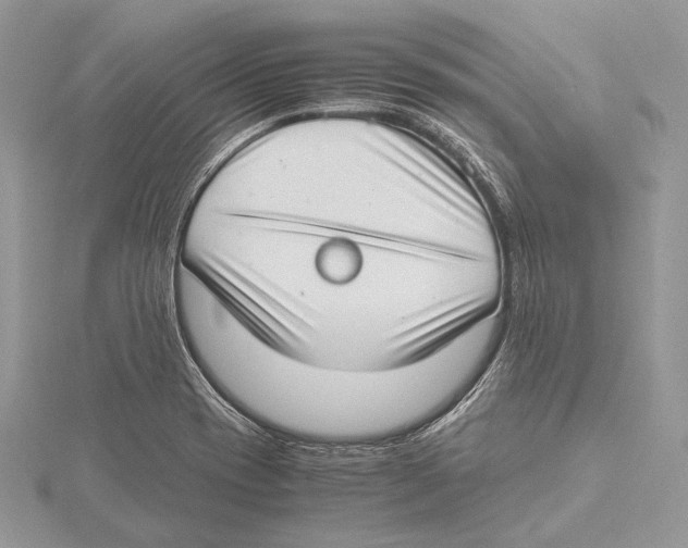 X0000115541417200912041001