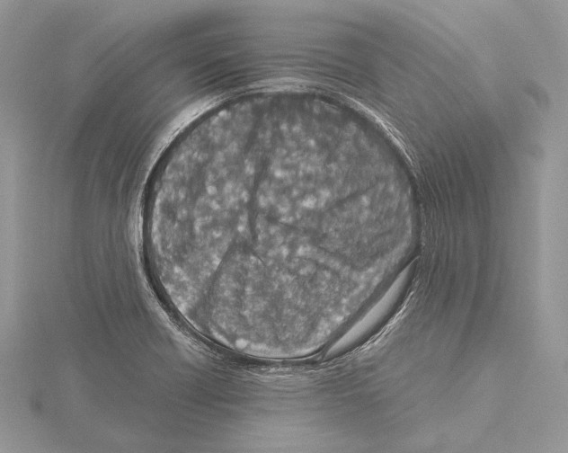 X0000115541418200912041001