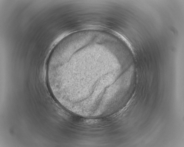 X0000115541419200912041001