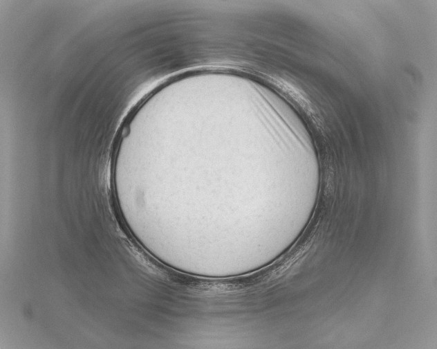 X0000115541420200912041001