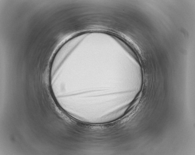 X0000115541421200912041001