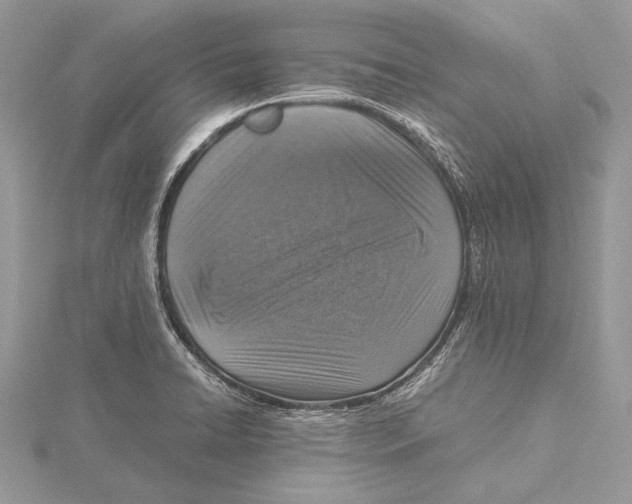 X0000115541422200912041001